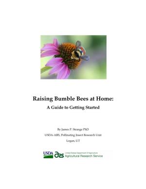 Bumble Bee Rearing Guide