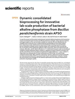 Dynamic Consolidated Bioprocessing for Innovative Lab-Scale Production of Bacterial Alkaline Phosphatase from Bacillus Paraliche