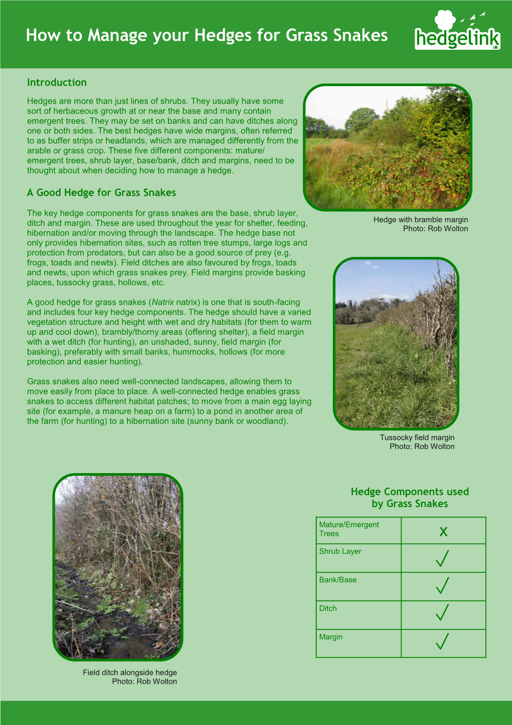 Grass Snakes & Hedges Leaflet