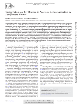 Carbonylation As a Key Reaction in Anaerobic Acetone Activation by Desulfococcus Biacutus