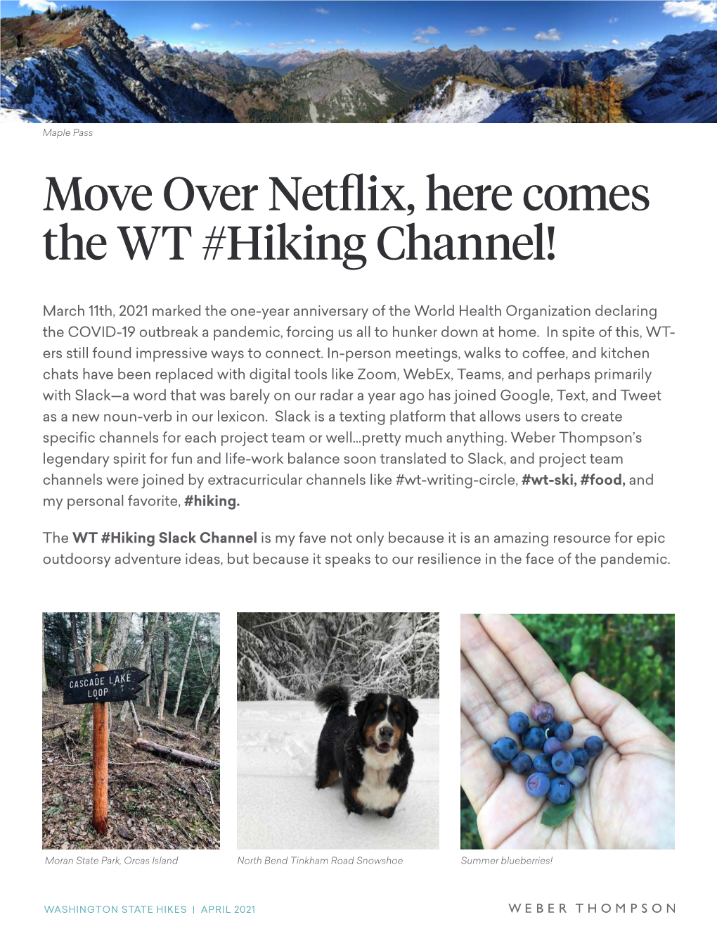 Move Over Netflix, Here Comes the WT #Hiking Channel!