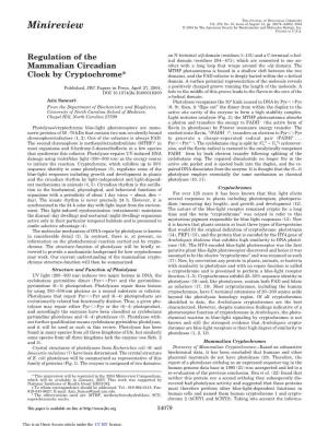 Regulation of the Mammalian Circadian Clock by Cryptochrome*