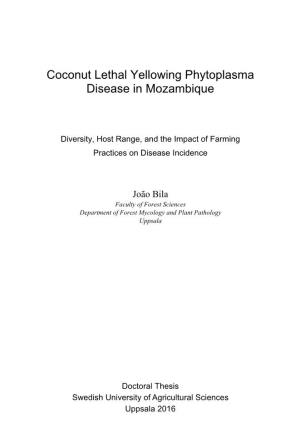 Coconut Lethal Yellowing Phytoplasma Disease in Mozambique