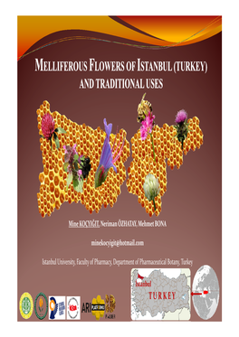 Melliferous Flowers of Istanbul