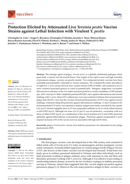 Protection Elicited by Attenuated Live Yersinia Pestis Vaccine Strains Against Lethal Infection with Virulent Y