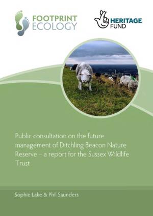 Ditchling Beacon Consultation Report
