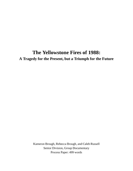 The Yellowstone Fires of 1988: a Tragedy for the Present, but a Triumph for the Future