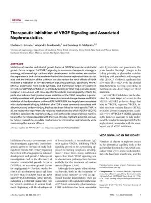 Therapeutic Inhibition of VEGF Signaling and Associated Nephrotoxicities
