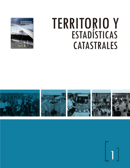 Territorio Y Estadísticas Catastrales