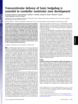 Transventricular Delivery of Sonic Hedgehog Is Essential to Cerebellar Ventricular Zone Development