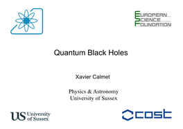 Quantum Black Holes