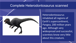 Complete Heterodontosaurus Scanned