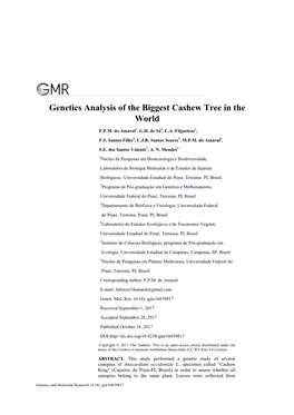 Genetics Analysis of the Biggest Cashew Tree in the World