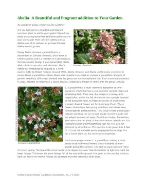 Abelia: a Beautiful and Fragrant Addition to Your Garden