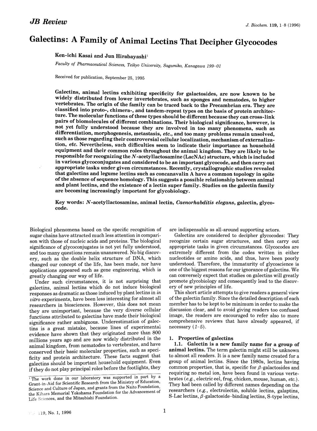 Galectins: a Family of Animal Lectins That Decipher Glvcocodes