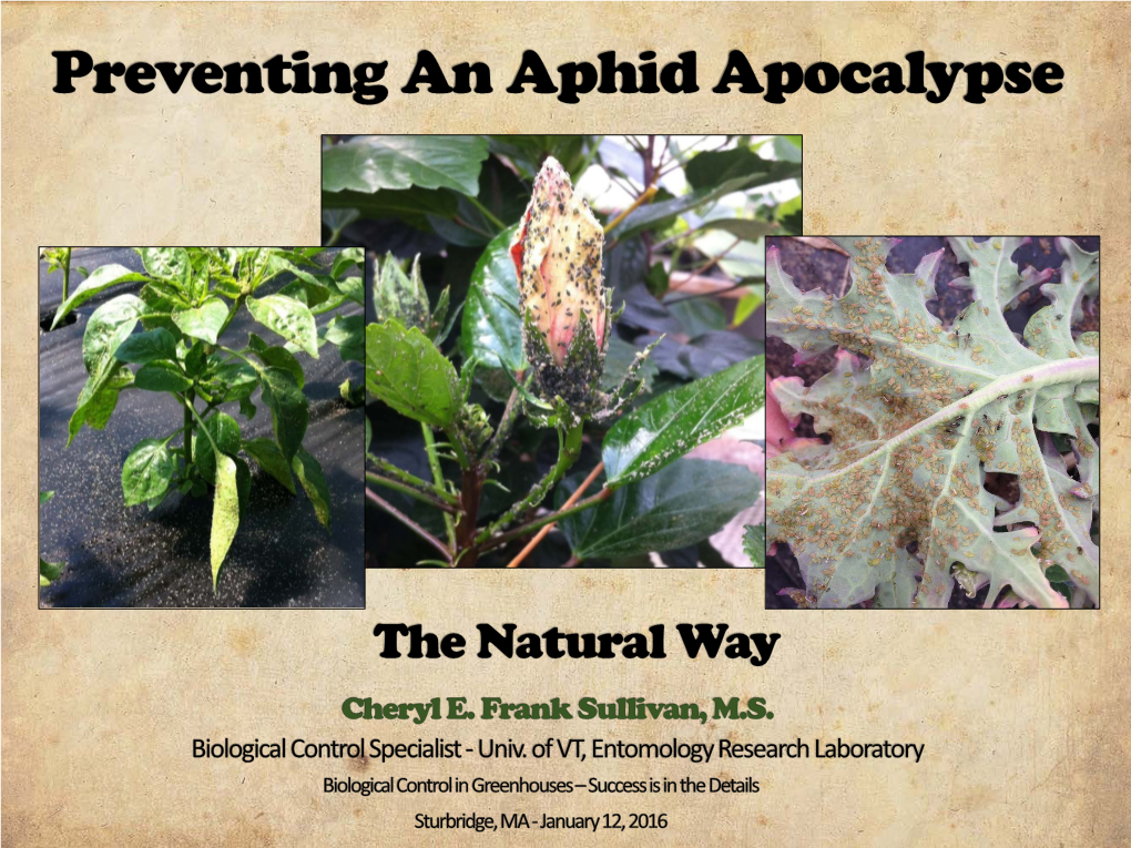 Preventing an Aphid Apocalypse