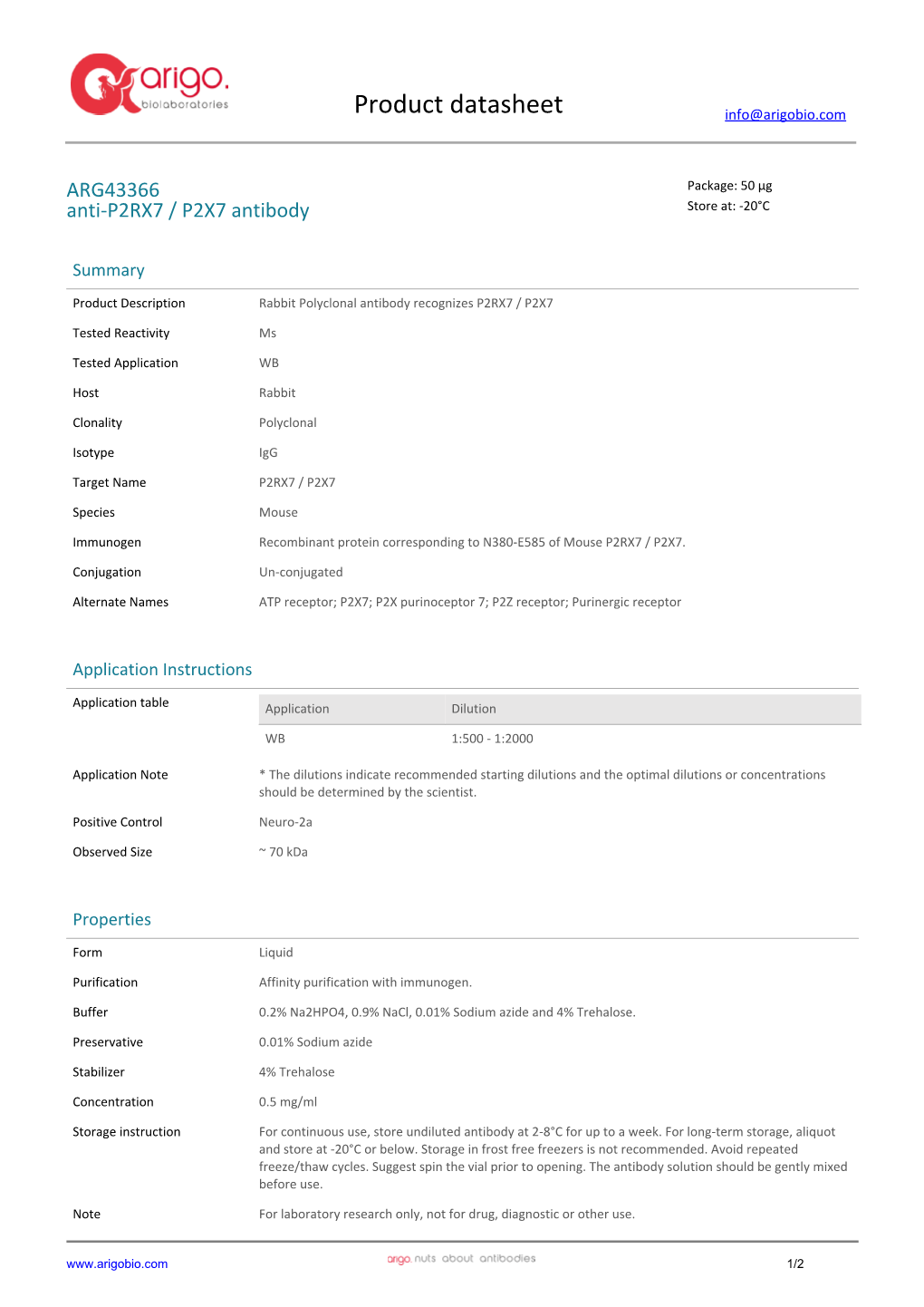 Anti-P2RX7 / P2X7 Antibody (ARG43366)