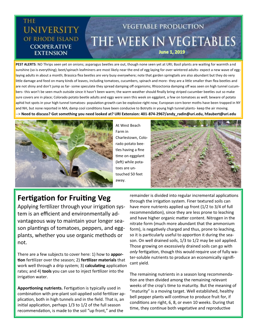 Fertigation for Fruiting Veg Through the Irrigation System