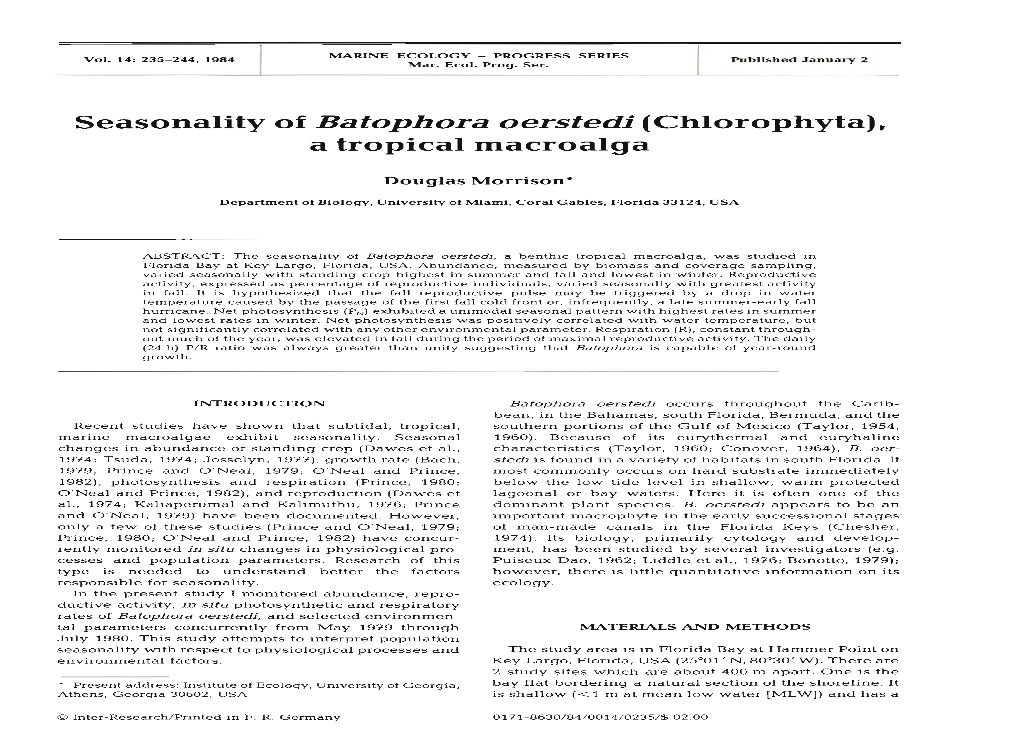 Seasonality of Batophora Oerstedi (Chlorophyta), a Tropical Macroalga