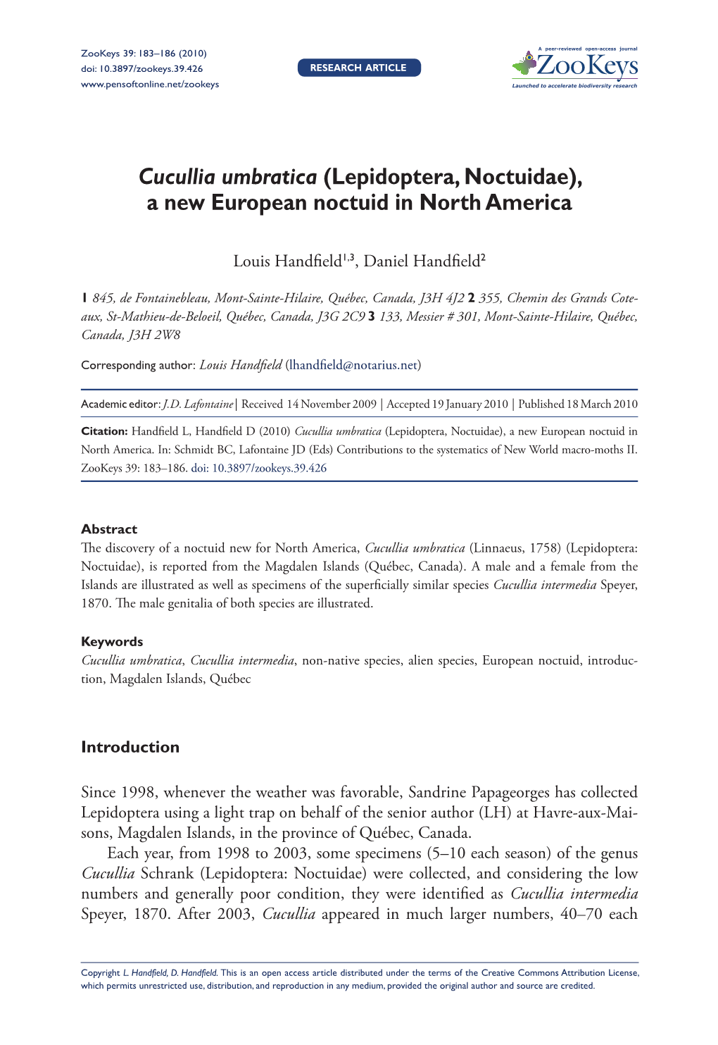 Cucullia Umbratica (Lepidoptera, Noctuidae), a New European Noctuid in North America