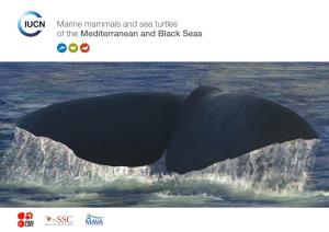 Marine Mammals and Sea Turtles of the Mediterranean and Black Seas