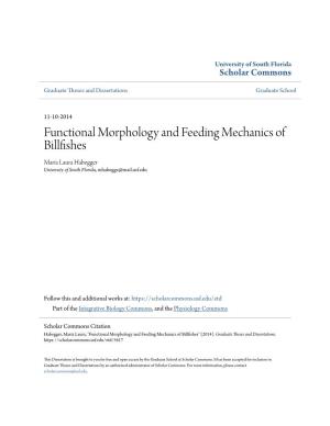 Functional Morphology and Feeding Mechanics of Billfishes María Laura Habegger University of South Florida, Mhabegge@Mail.Usf.Edu