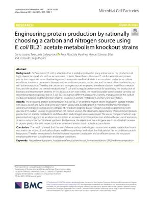 Engineering Protein Production by Rationally Choosing a Carbon and Nitrogen Source Using E