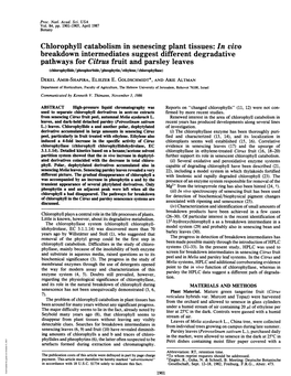 Chlorophyll Catabolism in Senescing Plant Tissues