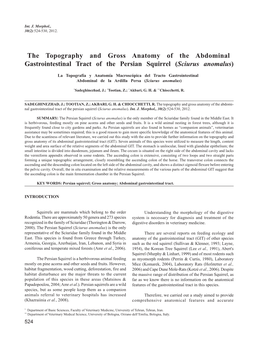 The Topography and Gross Anatomy of the Abdominal Gastrointestinal Tract of the Persian Squirrel (Sciurus Anomalus)