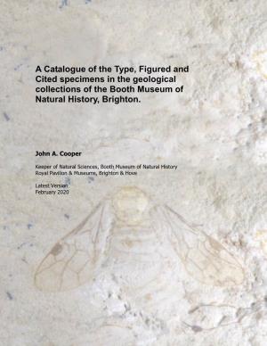 A Catalogue of the Type, Figured and Cited Specimens in the Geological Collections of the Booth Museum of Natural History, Brighton