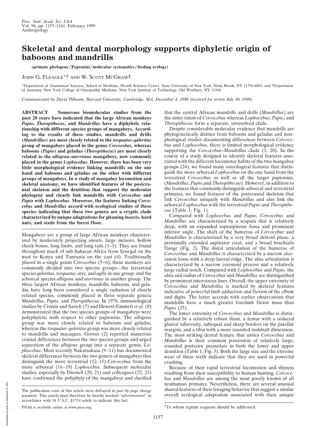 Skeletal and Dental Morphology Supports Diphyletic Origin of Baboons and Mandrills (Primate Phylogeny͞papionini͞molecular Systematics͞feeding Ecology)