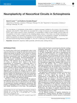 Neuroplasticity of Neocortical Circuits in Schizophrenia