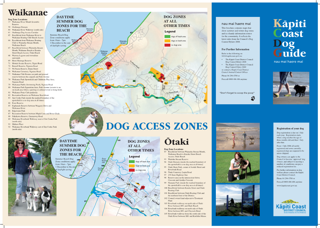 Daytime Summer Dog Zones for the Beach