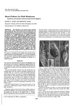 Direct Evidence for Fluid Membranes (Membrane and Organelle Rotation/Axostyle/Termite Flagellate) SIDNEY L