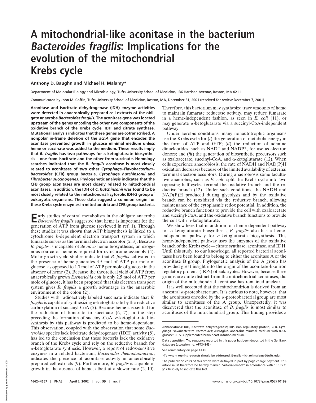 A Mitochondrial-Like Aconitase in the Bacterium Bacteroides Fragilis: Implications for the Evolution of the Mitochondrial Krebs Cycle