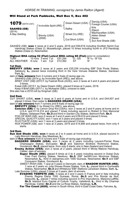 HORSE in TRAINING, Consigned by Jamie Railton (Agent)