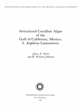 Articulated Coralline Algae of the Gulf of California, Mexico, I: Amphiroa Lamouroux