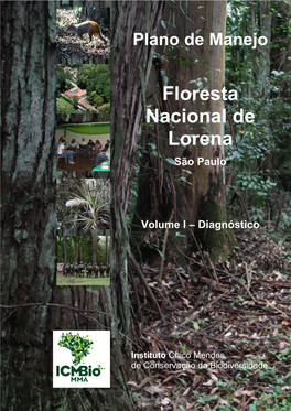 Floresta Nacional De Lorena