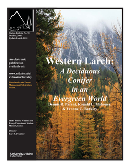 Western Larch: a Deciduous Conifer in an Evergreen World