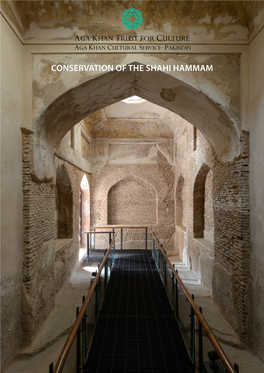 Conservation of the Shahi Hammam