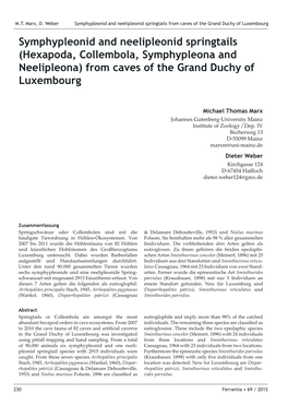 Symphypleonid and Neelipleonid Springtails (Hexapoda, Collembola, Symphypleona and Neelipleona) from Caves of the Grand Duchy of Luxembourg