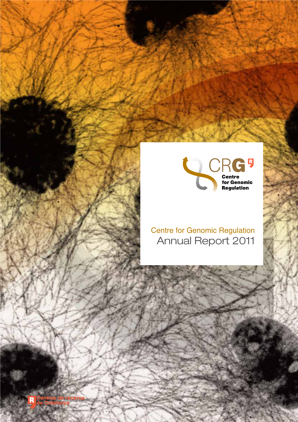 Download the Annual Report 2011