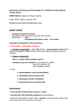 BONE TISSUE Osteoblasts