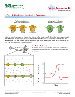 Part II: Modeling the Action Potential