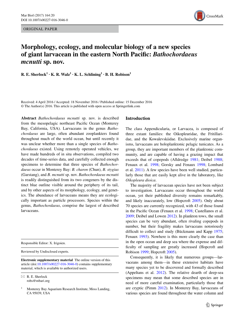 Morphology, Ecology, and Molecular Biology of a New Species of Giant Larvacean in the Eastern North Pacific: Bathochordaeus Mcnutti Sp