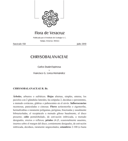 Flora De Veracruz CHRYSOBALANACEAE