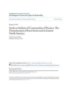 The Domestication of Erect Knotweed in Eastern North America Natalie Graham Mueller Washington University in St