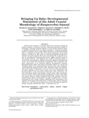 Bringing up Baby: Developmental Simulation of the Adult Cranial Morphology of Rungwecebus Kipunji