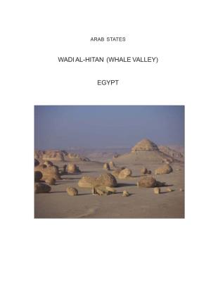 Wadi Al-Hitan (Whale Valley) Egypt