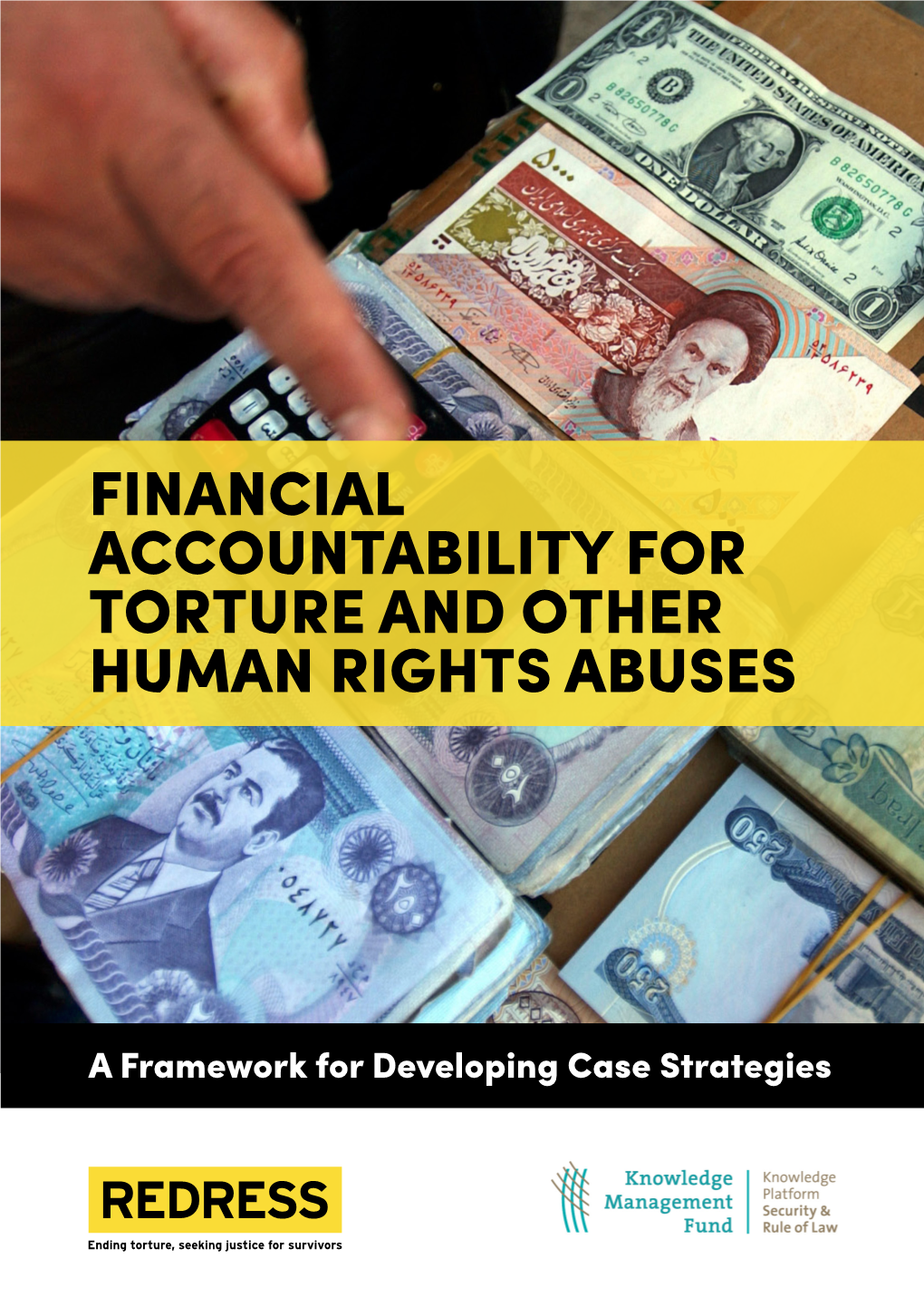 Financial Accountability for Torture and Other Human Rights Abuses